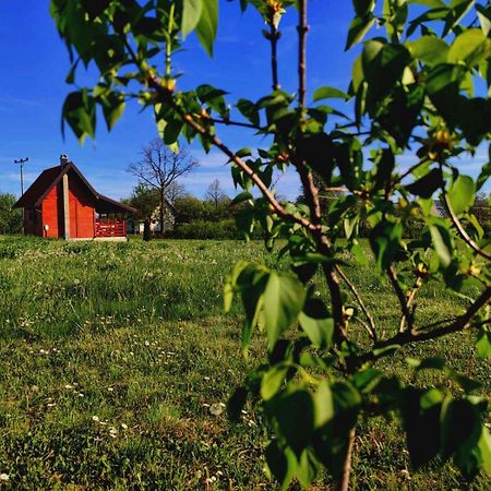 Brvnara Zecevic Villa Zlatibor Eksteriør bilde